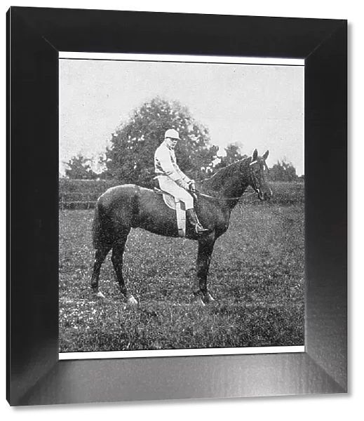 Antique photo: Jockey and horse