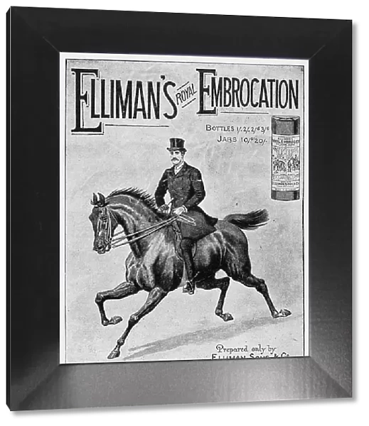 Antique advertisement from British magazine: Elliman's Royal Embrocation