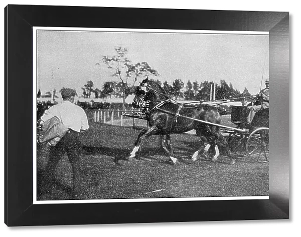 Sport and pastimes in 1897: Horse event