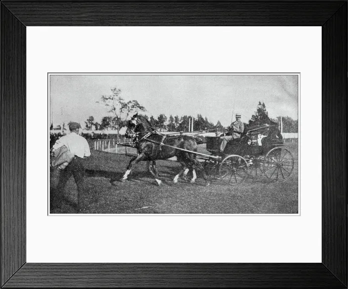 Framed Print : Sport and pastimes in 1897: Horse event Framed Print : Sport and pastimes in 1897: Horse event