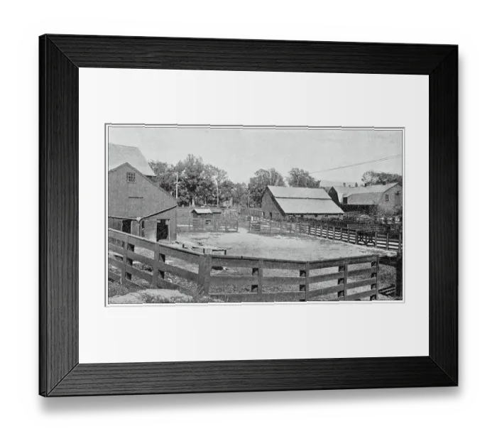 Framed Print : Sport and pastimes in 1897: Racing horses training farm, Vermont Framed Print : Sport and pastimes in 1897: Racing horses training farm, Vermont