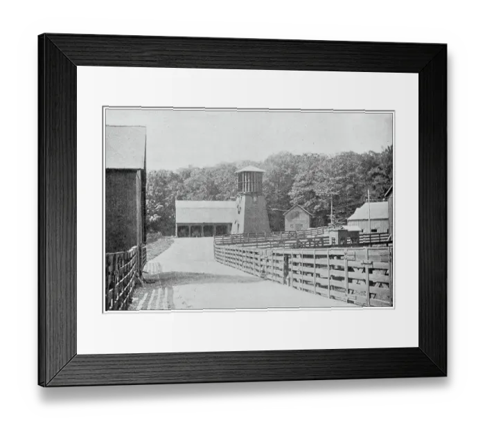 Framed Print : Sport and pastimes in 1897: Paddocks, Racing horses training farm, Vermont Framed Print : Sport and pastimes in 1897: Paddocks, Racing horses training farm, Vermont