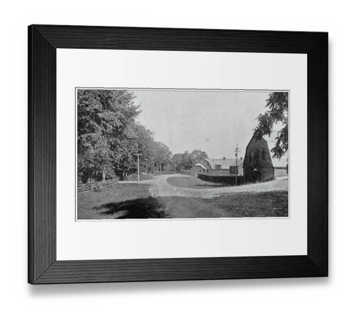 Framed Print : Sport and pastimes in 1897: Racing horses training farm, Vermont Framed Print : Sport and pastimes in 1897: Racing horses training farm, Vermont