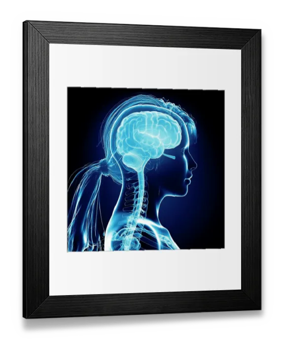 Framed Print : Female brain, computer artwork
