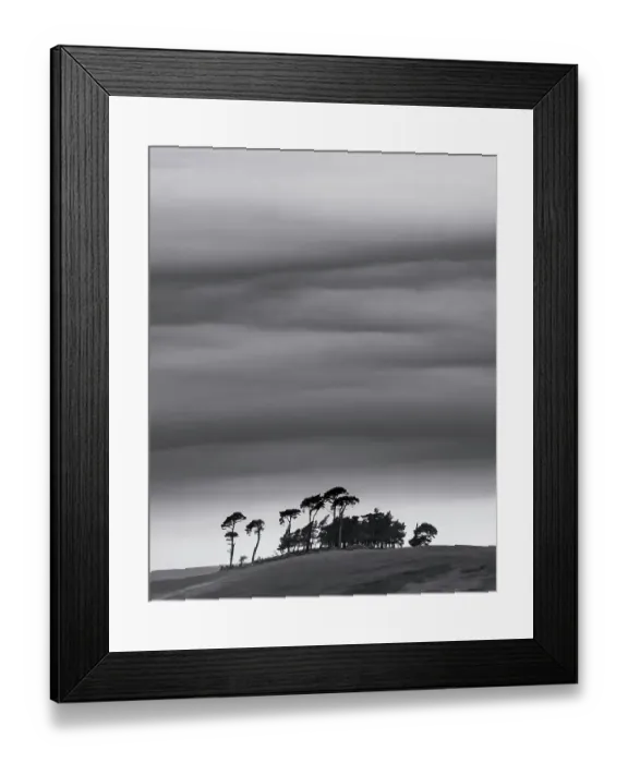 Framed Print : Bainbridge copse Framed Print : Bainbridge copse
