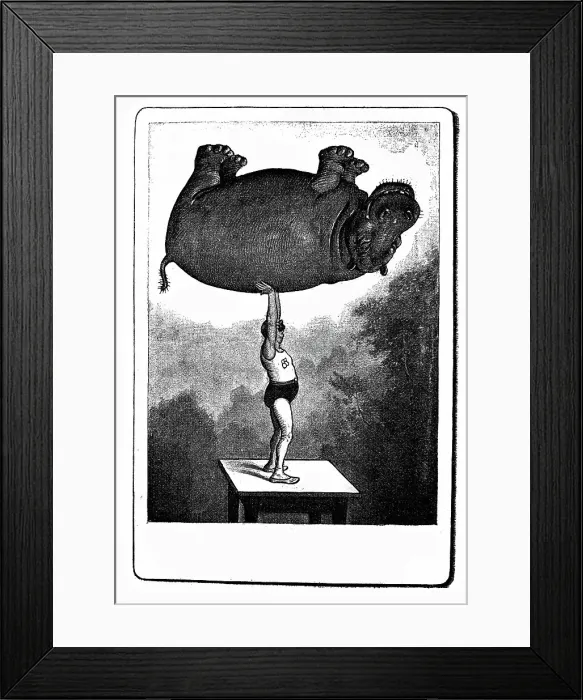 Framed Print : Strength raises the hippo. The tricks of the photographer Framed Print : Strength raises the hippo. The tricks of the photographer