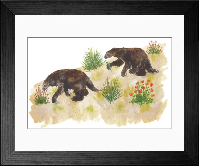 Framed Print : Shasta sloths Framed Print : Shasta sloths
