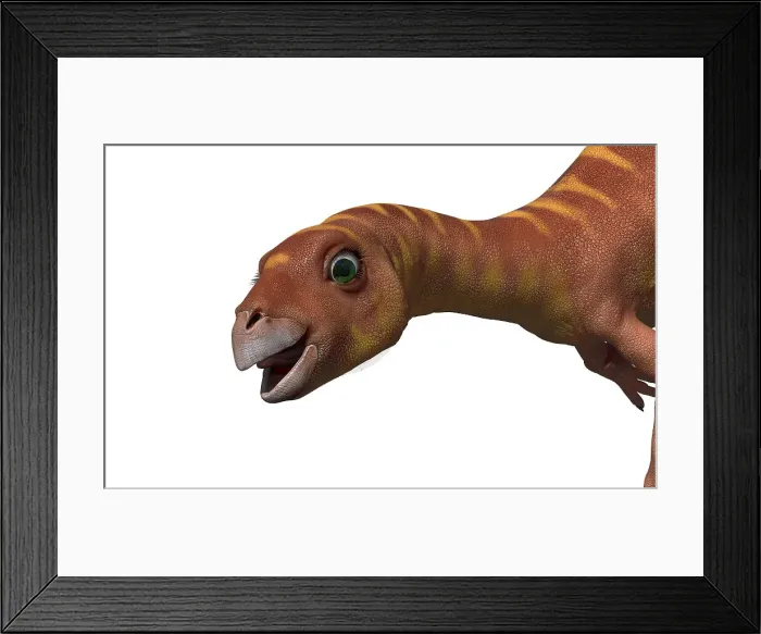 Framed Print : lleannynasaura Framed Print : lleannynasaura
