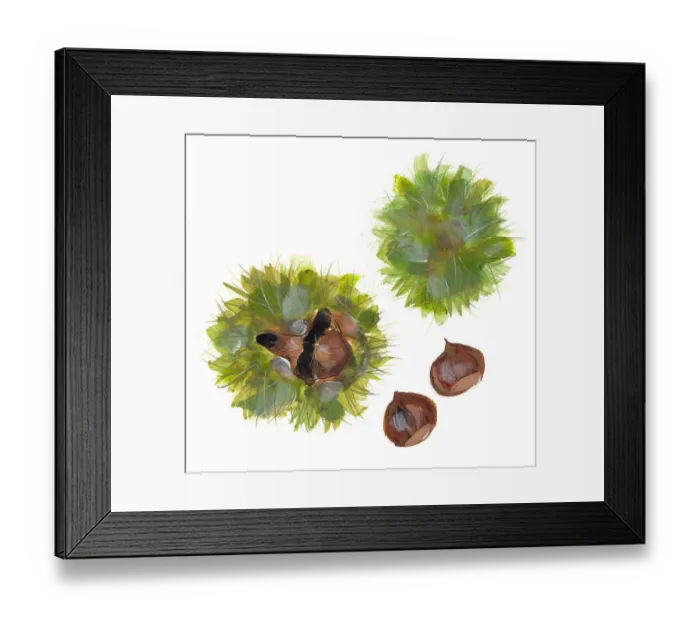 Framed Print : Sweet Chestnuts