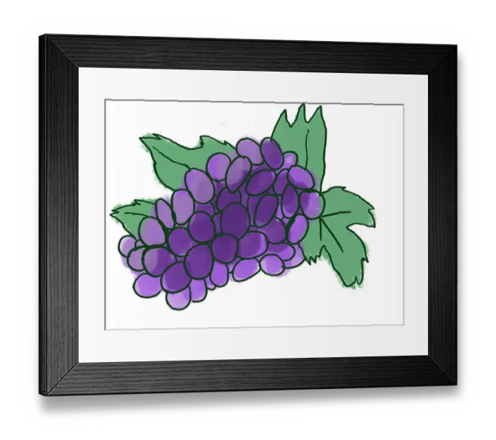 Framed Print : Grapes. Dorling Kindersley Prints Framed Print : Grapes. Dorling Kindersley Prints
