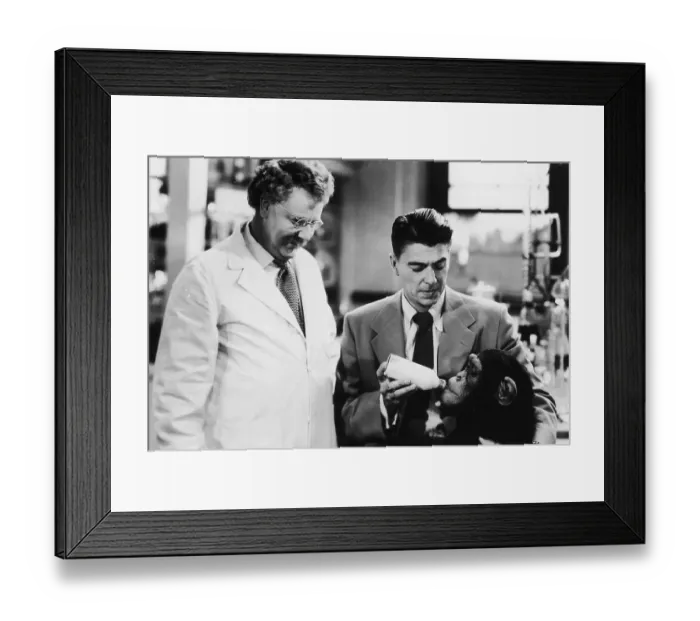 Framed Print : Bedtime For Bonzo Framed Print : Bedtime For Bonzo