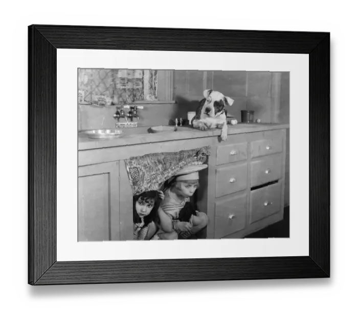 Framed Print : Dog Hiding Framed Print : Dog Hiding