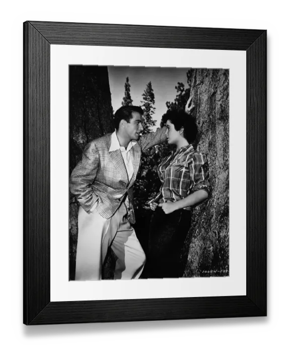Framed Print : A Place In The Sun Framed Print : A Place In The Sun