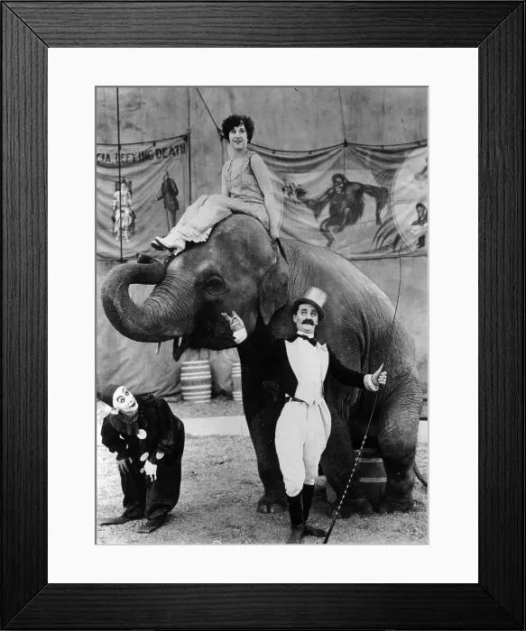 Framed Print : At The Circus Framed Print : At The Circus