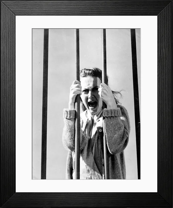 Framed Print : The Snake Pit