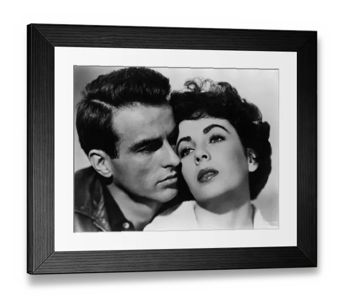Framed Print : A Place In The Sun Framed Print : A Place In The Sun