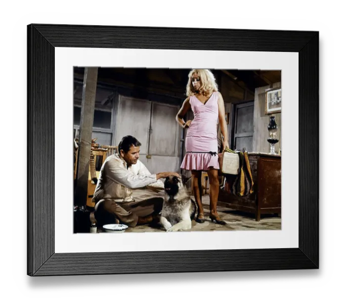 Framed Print : Glenn Ford And Stella Stevens In Rage Framed Print : Glenn Ford And Stella Stevens In Rage
