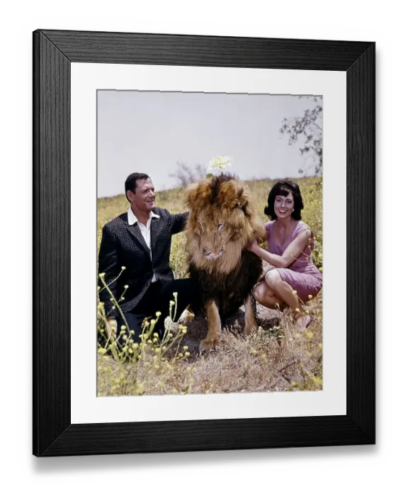 Framed Print : Tony Randall And Shirley Jones In Fluffy Framed Print : Tony Randall And Shirley Jones In Fluffy