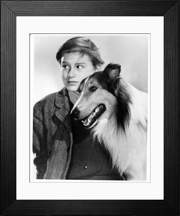 Framed Print : Roddy McDowall In Lassie Come Home Framed Print : Roddy McDowall In Lassie Come Home