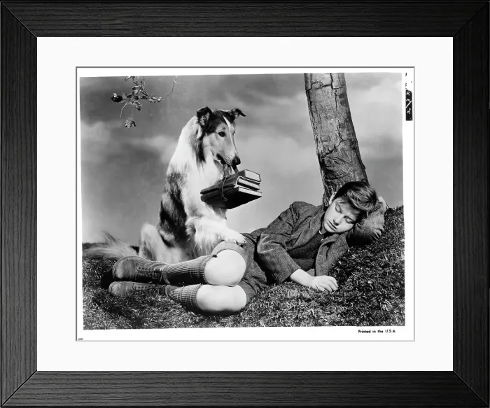 Framed Print : Roddy McDowall In Lassie Come Home Framed Print : Roddy McDowall In Lassie Come Home