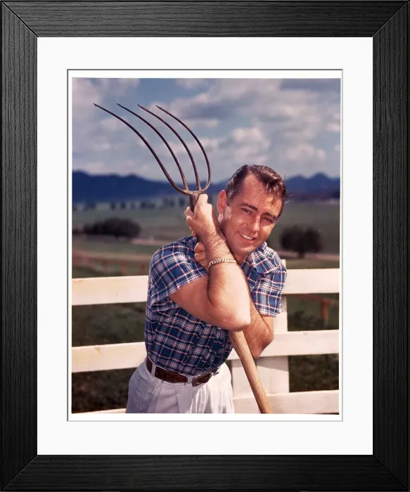 Framed Print : Alan Ladd, circa 1945. (Photo by Getty Images) Framed Print : Alan Ladd, circa 1945. (Photo by Getty Images)