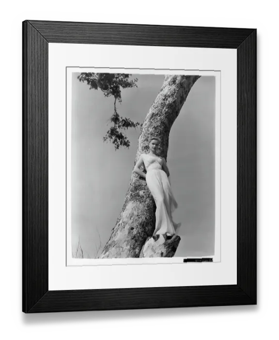 Framed Print : Anne Francis Framed Print : Anne Francis