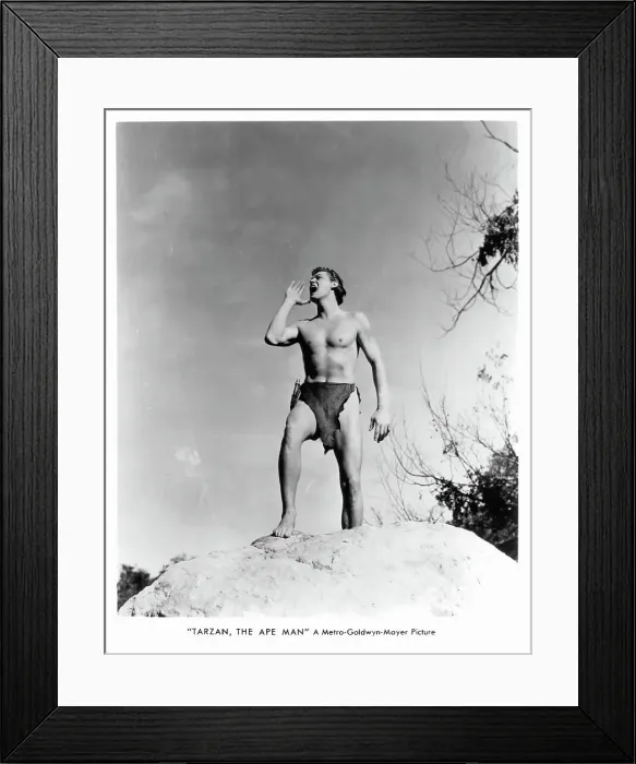 Framed Print : Johnny Weissmuller In Tarzan, The Ape Man Framed Print : Johnny Weissmuller In Tarzan, The Ape Man