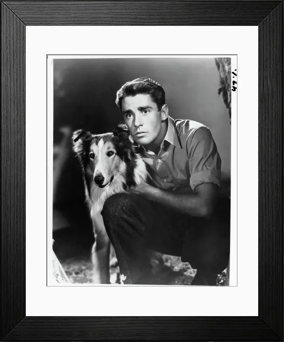 Framed Print : Peter Lawford In Son Of Lassie Framed Print : Peter Lawford In Son Of Lassie