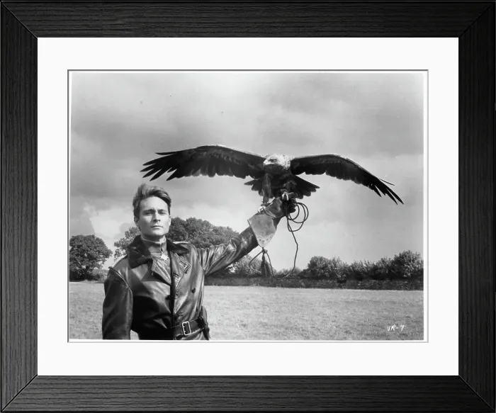 Framed Print : John Phillip Law In Von Richthofen And Brown Framed Print : John Phillip Law In Von Richthofen And Brown