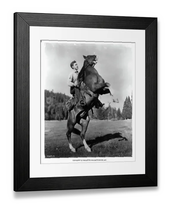 Framed Print : Marshall Thompson In Gallant Bess Framed Print : Marshall Thompson In Gallant Bess