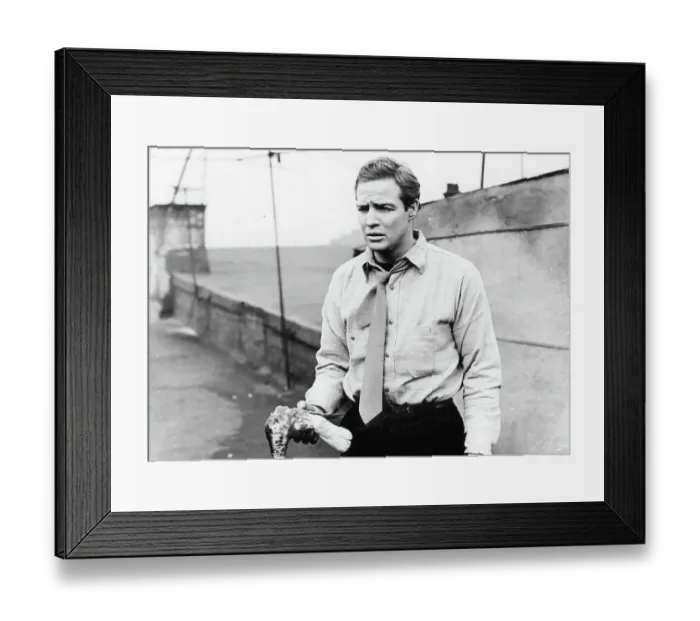 Framed Print : Marlon Brando In On The Waterfront Framed Print : Marlon Brando In On The Waterfront