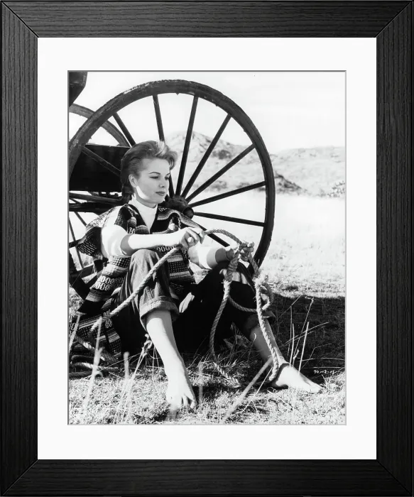 Framed Print : The Sons Of Katie Elder Framed Print : The Sons Of Katie Elder