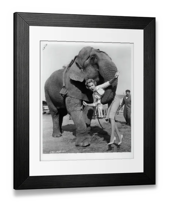 Framed Print : Rhonda Fleming In The Big Circus Framed Print : Rhonda Fleming In The Big Circus
