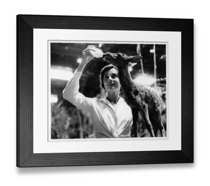 Framed Print : Audrey Hepburn In The Green Mansions Framed Print : Audrey Hepburn In The Green Mansions
