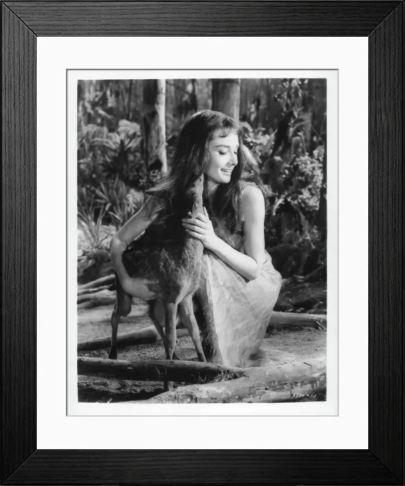 Framed Print : Audrey Hepburn In The Green Mansions Framed Print : Audrey Hepburn In The Green Mansions