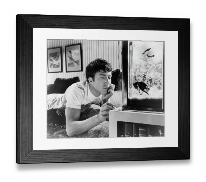 Framed Print : Dustin Hoffman In The Graduate Framed Print : Dustin Hoffman In The Graduate