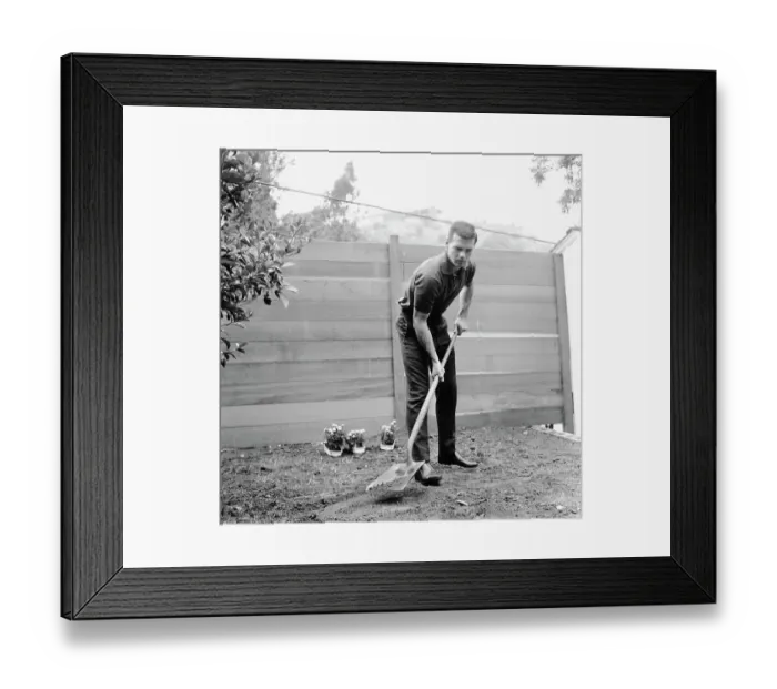 Framed Print : Gary's Garden Framed Print : Gary's Garden