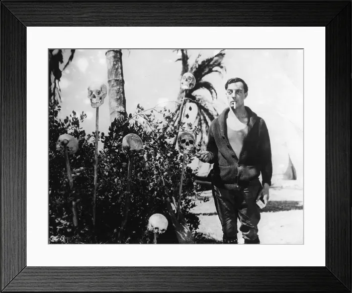 Framed Print : Buster And Skulls Framed Print : Buster And Skulls