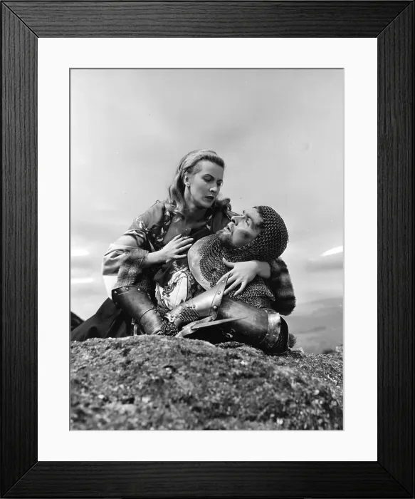 Framed Print : Knight Fall Framed Print : Knight Fall