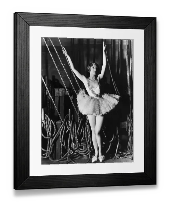 Framed Print : Excess Baggage Framed Print : Excess Baggage