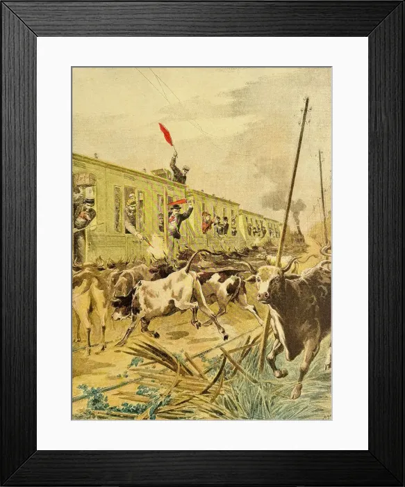 Framed Print : A train attacked by bulls Framed Print : A train attacked by bulls