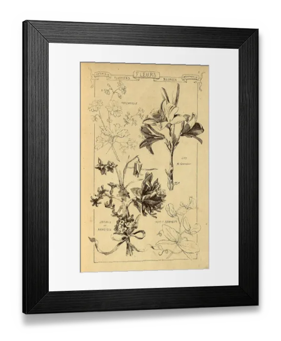 Framed Print : Flowers for using in Architectural design, Potentilla, Lily, Hyacinth and Narcissus, Sweet Pea, History of architecture, decoration and design, art, French, Victorian, 19th Century Framed Print : Flowers for using in Architectural design, Potentilla, Lily, Hyacinth and Narcissus, Sweet Pea, History of architecture, decoration and design, art, French, Victorian, 19th Century