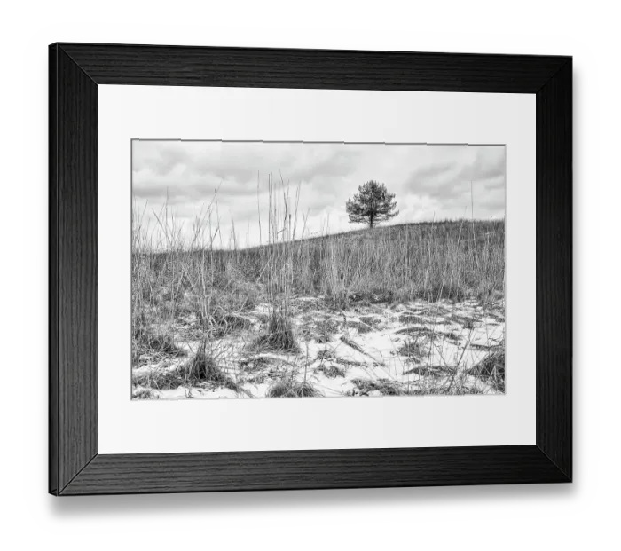 Framed Print : Lone Tree. Lone tree in a at the top of a small hill in a snowy field on a cloudy day