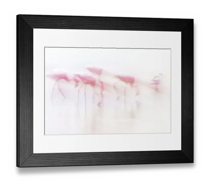 Framed Print : Art of Flamingos in High Key at Amboseli, Kenya Framed Print : Art of Flamingos in High Key at Amboseli, Kenya
