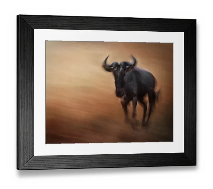 Framed Print : Beautiful motion blur of Wildebeest coming toward camera in Maasai Mara, Kenya Framed Print : Beautiful motion blur of Wildebeest coming toward camera in Maasai Mara, Kenya