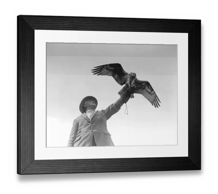 Framed Print : Osprey Keeper Framed Print : Osprey Keeper