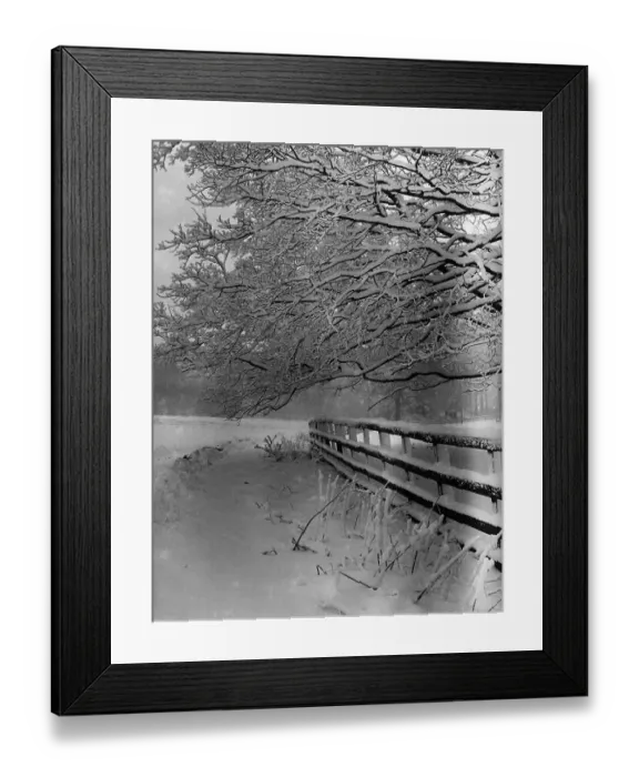 Framed Print : Snowy Scene