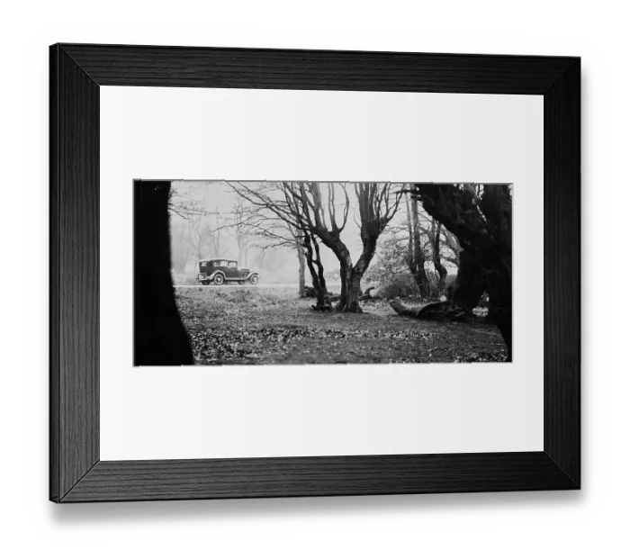 Framed Print : Epping Forest Framed Print : Epping Forest