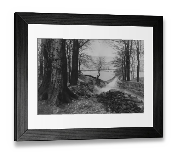 Framed Print : Drystone Lane Framed Print : Drystone Lane