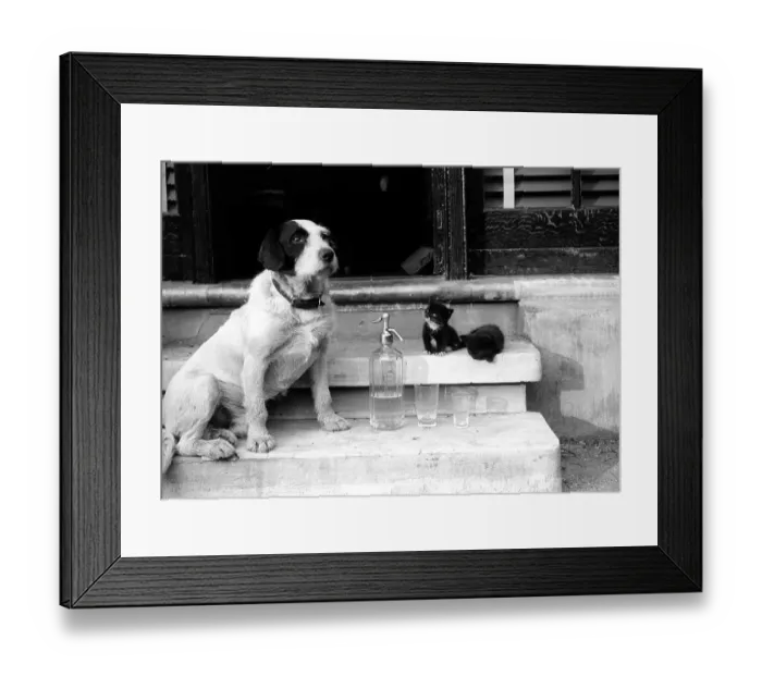 Framed Print : Soda Siphon Animals Framed Print : Soda Siphon Animals